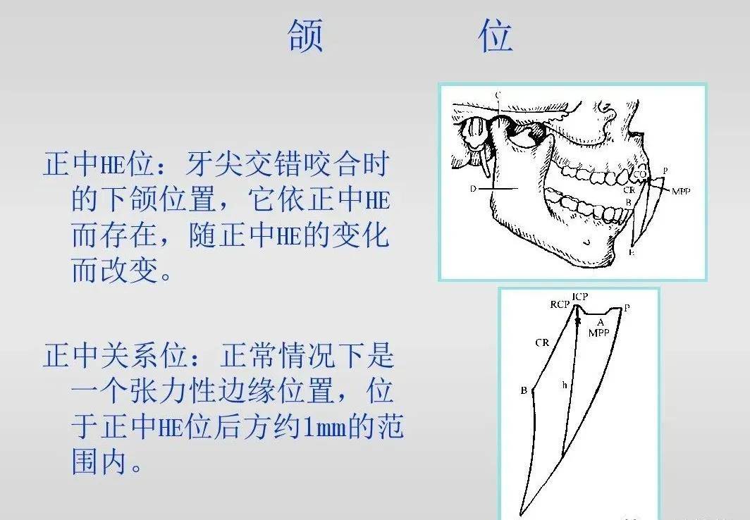 颌位关系记录