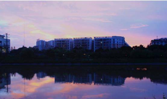 百色经济总量_百色助学性侵案图片(3)