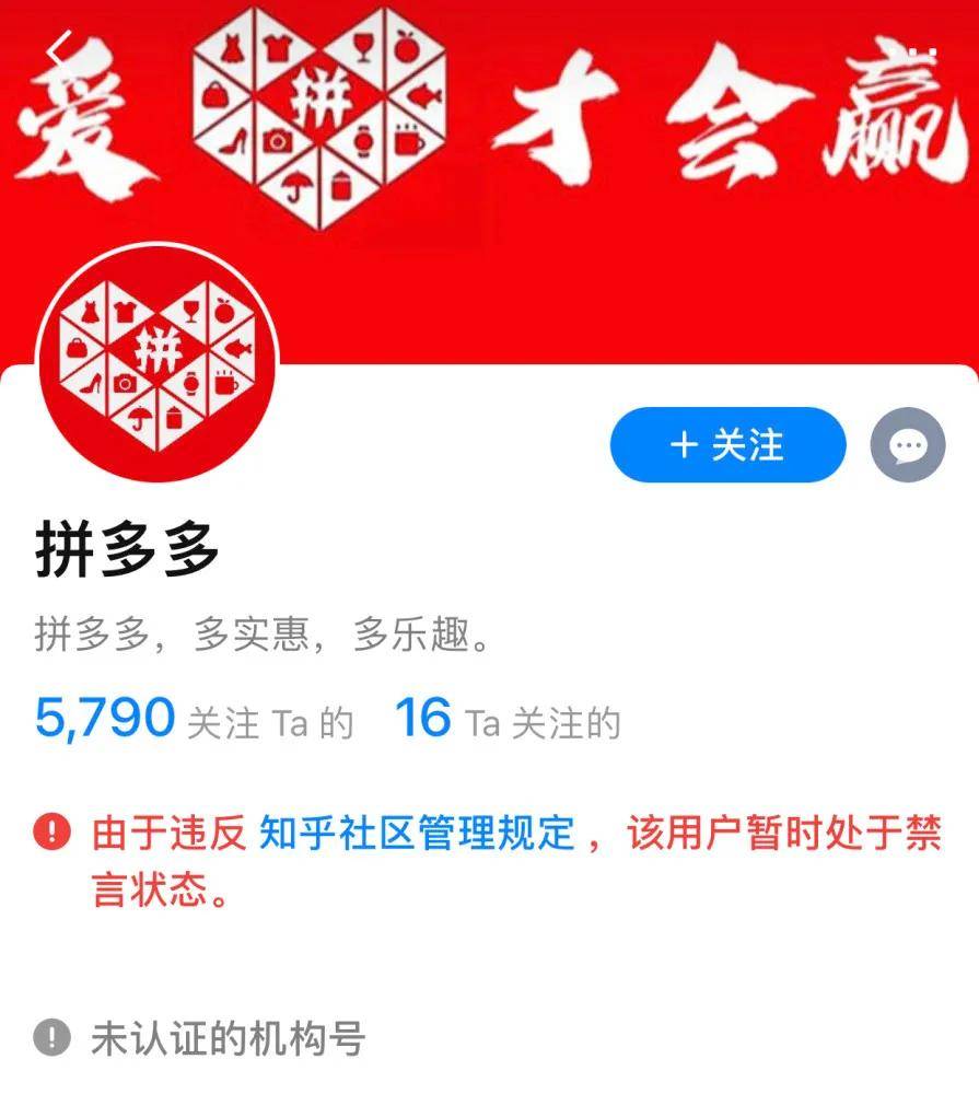 拼多多推特账号购买安全吗是真的吗知乎文章在哪里看