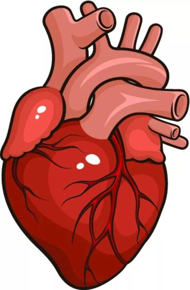 原创心脏不好的9个表现,多吃这9物,可养护心脏