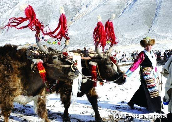 去西藏旅游的最佳时间