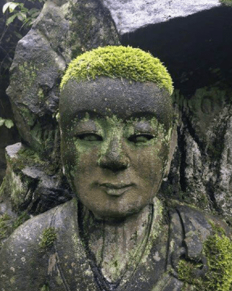 原创
开心一刻:昨晚回家,在路边看见一个身穿婚纱的美女在独自喝酒