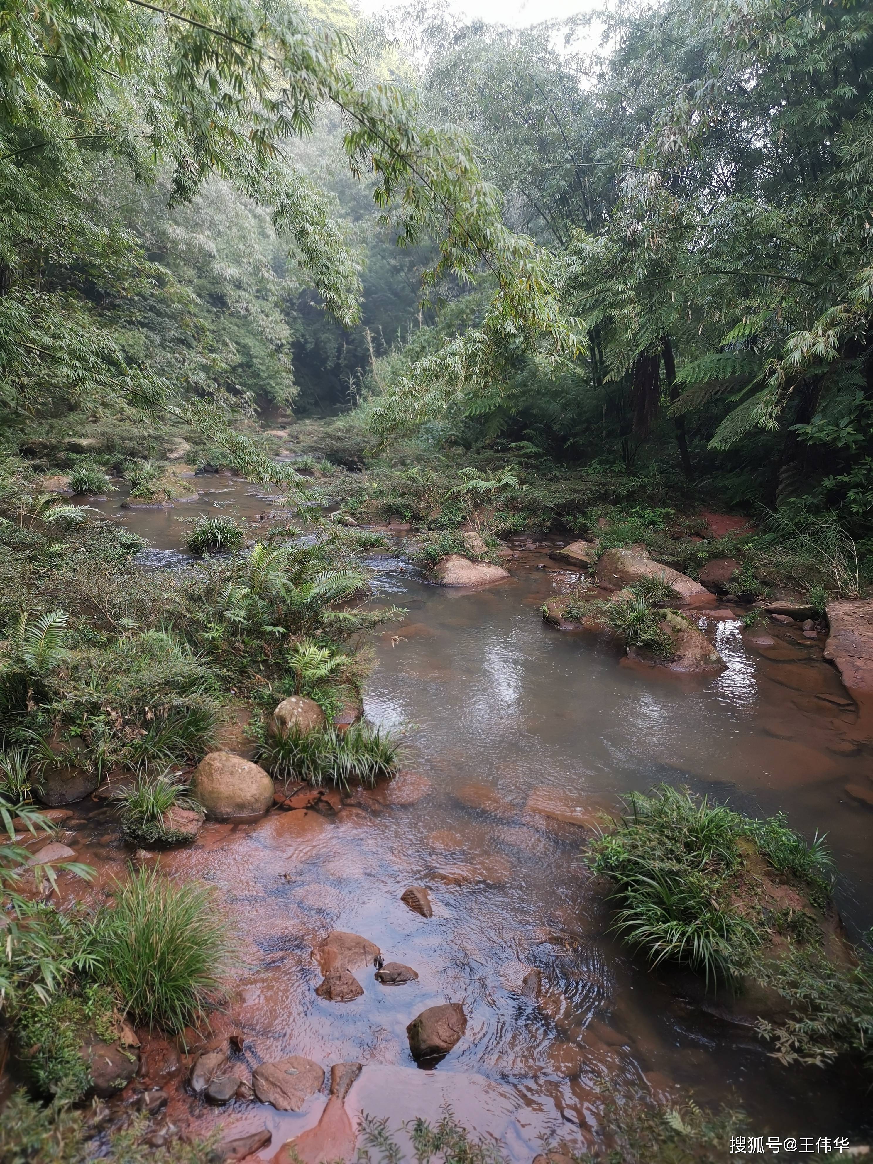 去赤水四洞沟观瀑布集合