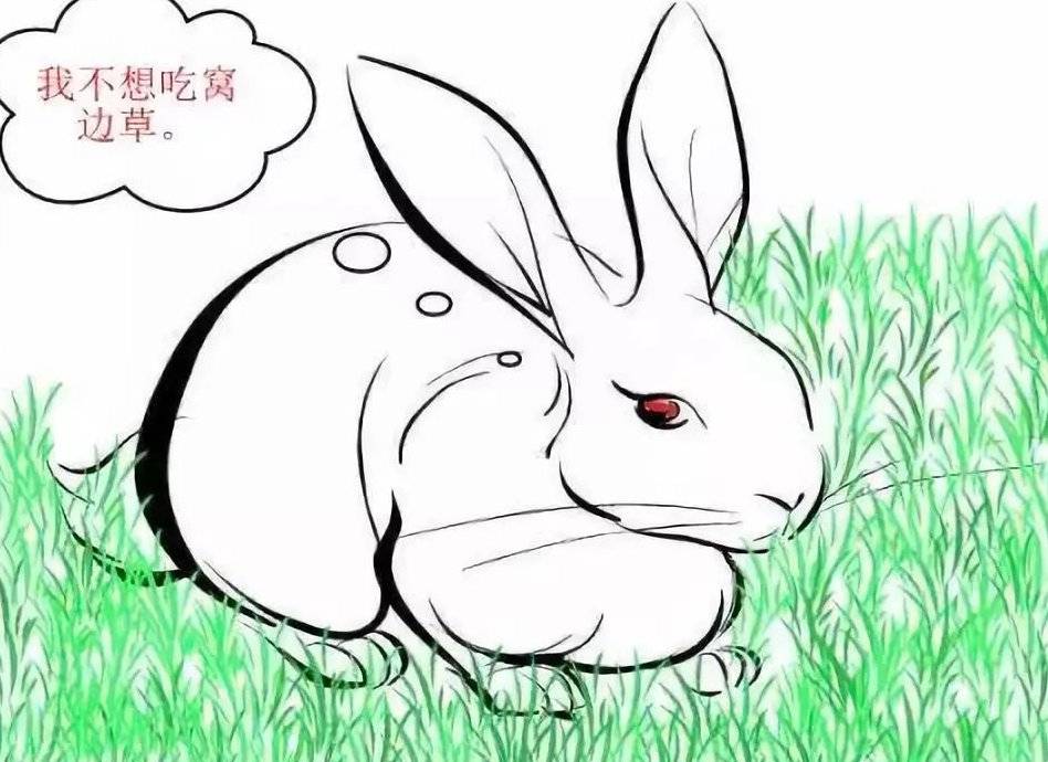 斗罗:都说兔子不吃窝边草,那柔骨兔吃不吃蓝银草?