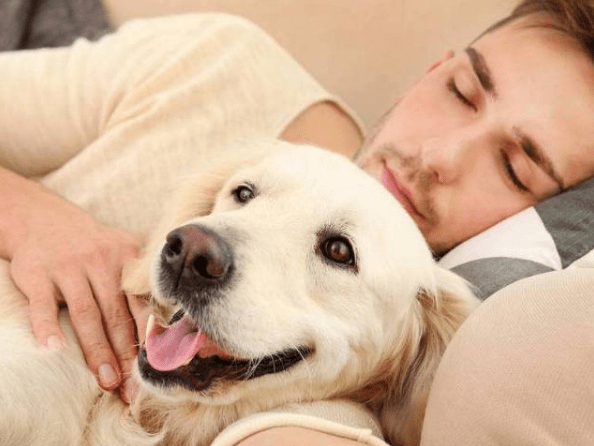 一张床一个女孩斗牛猜成语_黄渤斗牛图片