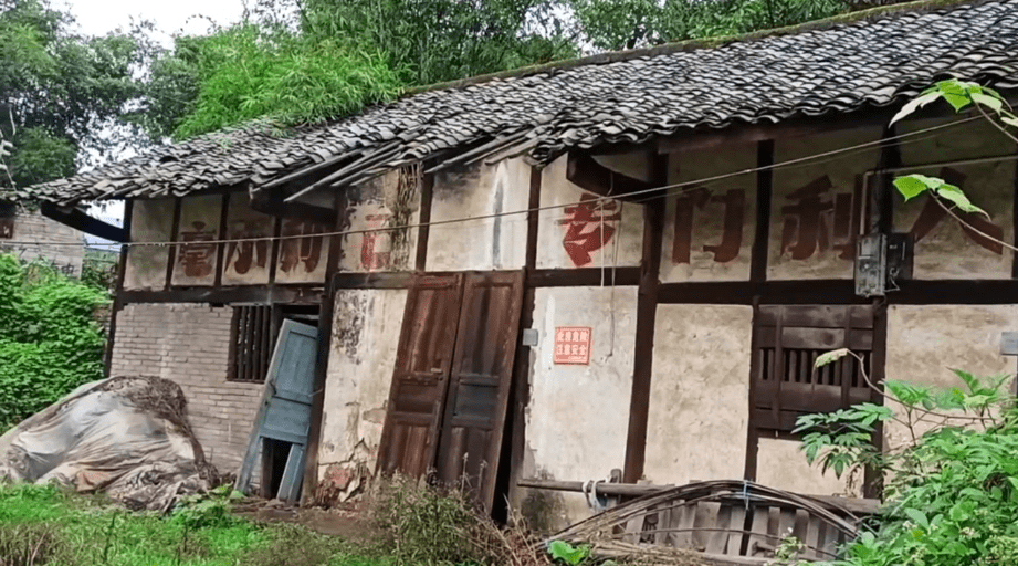 重庆巴南长江小岛，风景优美古迹众多，遗憾本地人都不知道