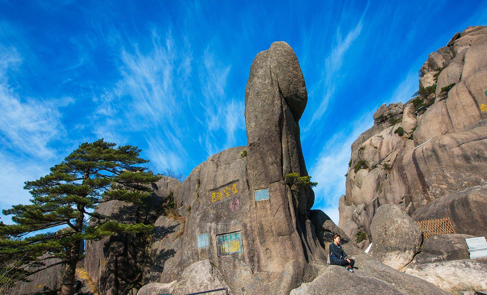 迎客松是黄山标志，100多年仍保持同一造型，有人说这是棵假树