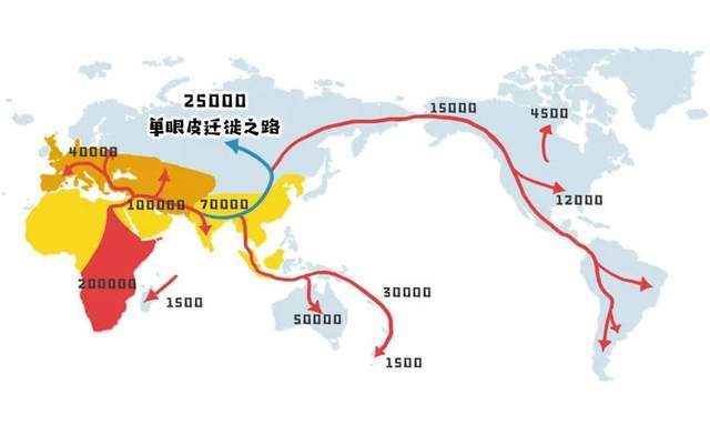 某个人口_人口普查(3)