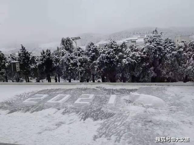 组图!总算没白冷,云南多地下大雪