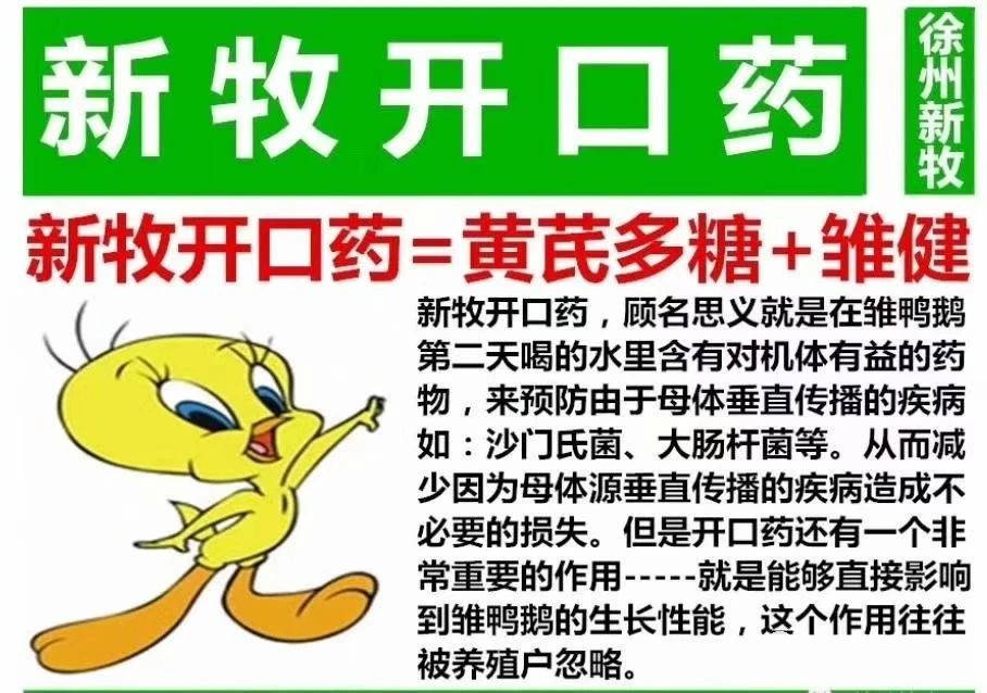 小鹅糊肛的治疗方法鹅苗糊屁股是怎么回事小鹅肛门有屎怎么回事