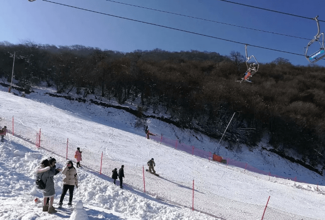 全国都冻哭了，唯有成都在雪季中兴奋，执念太深的城市