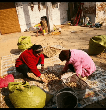 福宁集人口_原阳县福宁集:柔肩挑重任,尽责助脱贫——记原阳县福宁集镇扶贫