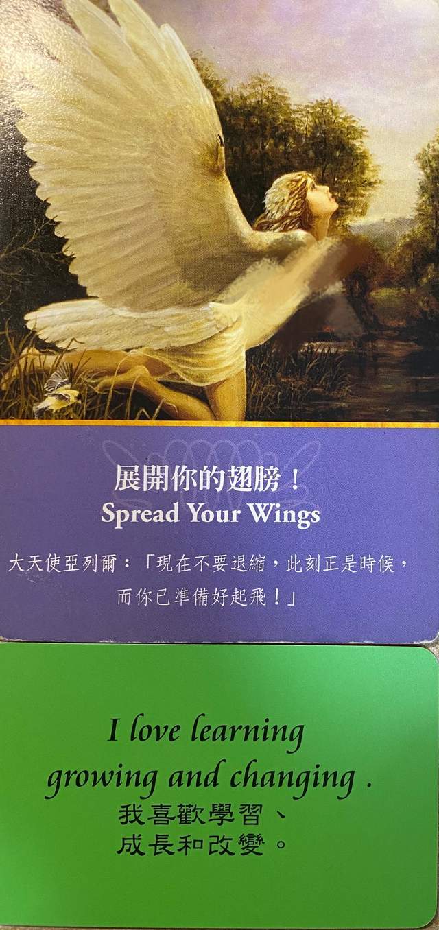 09395e73f93548f8b25e92df0c8419b2.jpeg