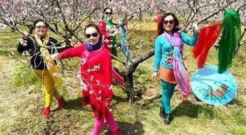 土上原创中国大妈丝巾热搜?学习咏梅和董卿,像法国的优雅一样美丽