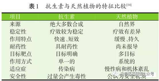 3c6a8a74ecc04f80b71716f9090ab6e7.jpeg