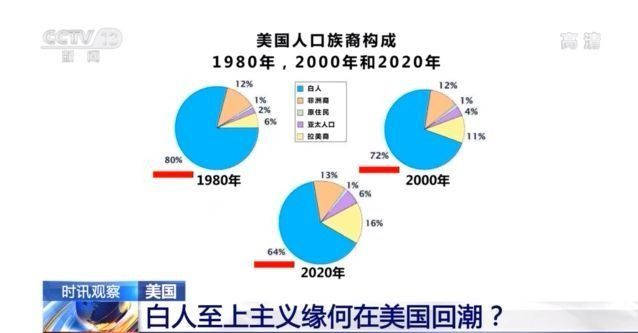 美国2020人口普查白人_美国白人性感写真(2)