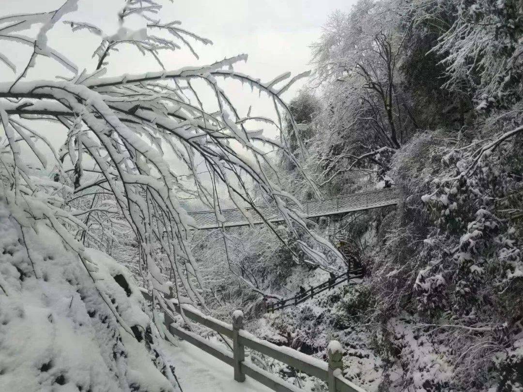 成都周边"冷门"玩雪地,商业化程度低,门票只需38元