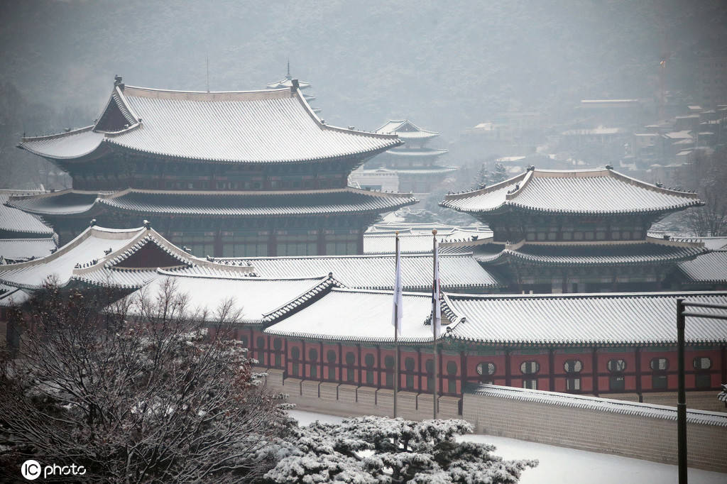 白雪覆盖下的朝鲜王朝王宫——景福宫