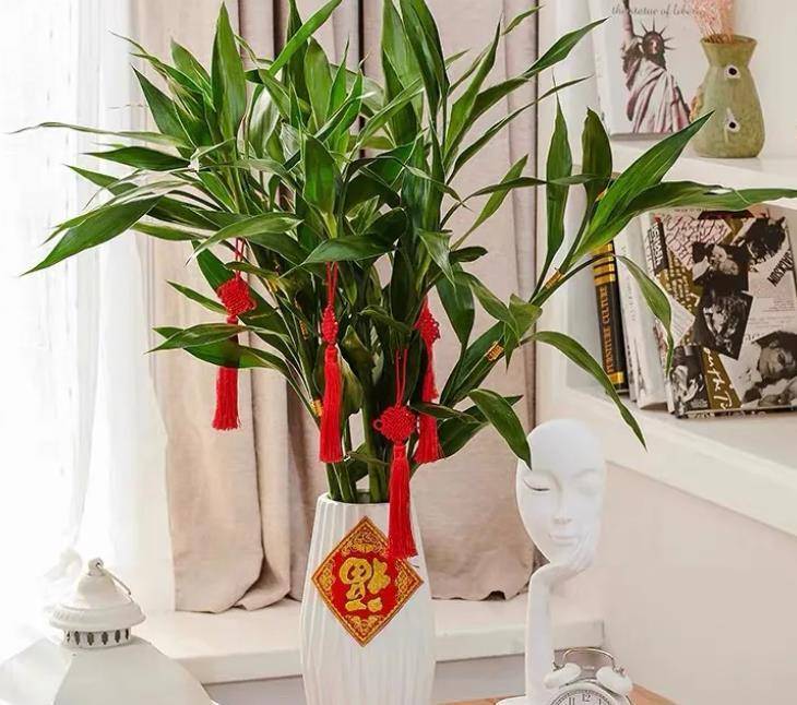 3f236dbc14254144b0d7d45905f2c3c3.jpeg