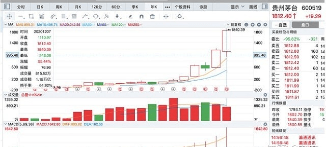 人均持股数量_数量金额式明细账(2)