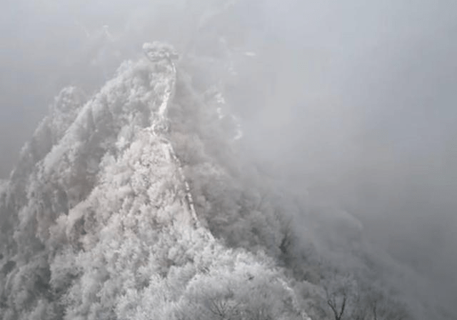 北京迎来2021年第一场雪!附上美图