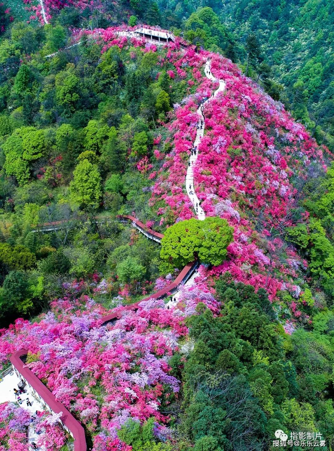 钟灵毓秀旅游胜地大美岳西河图宣传片来了