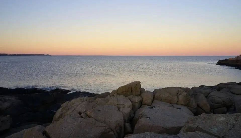 国美APP更名真快乐,但国美零售却快乐不起来!-家电圈官网