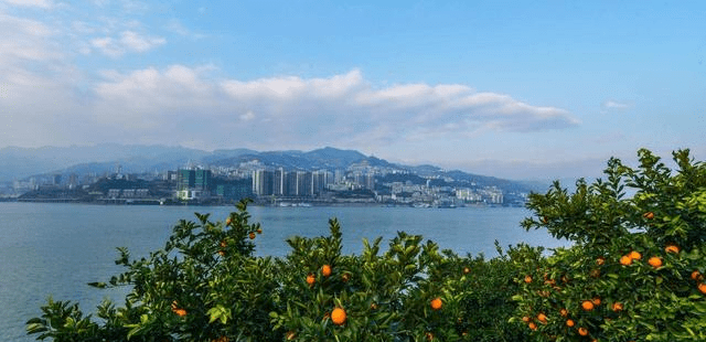 奉节县gdp_奉节县地图(2)