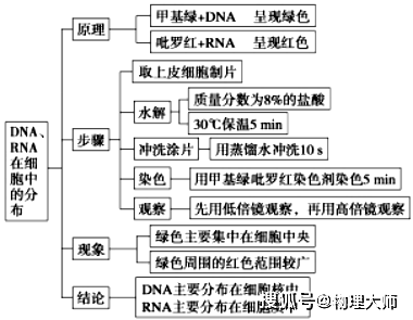 实验原理主要写什么作用_我是少年主要写什么