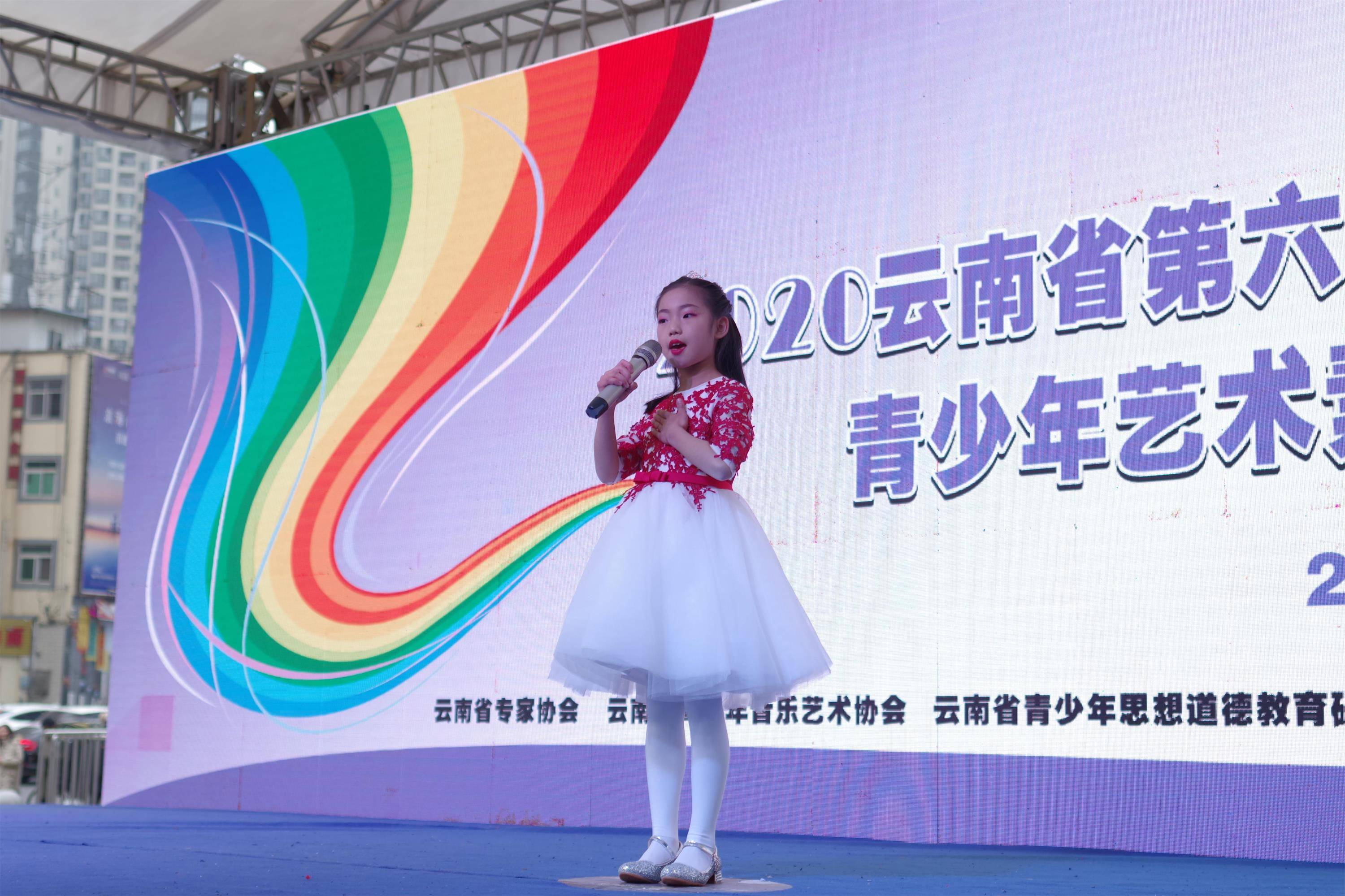 各县市区的公办和民办学校,青少年活动中心以及社会艺术培训学校的近
