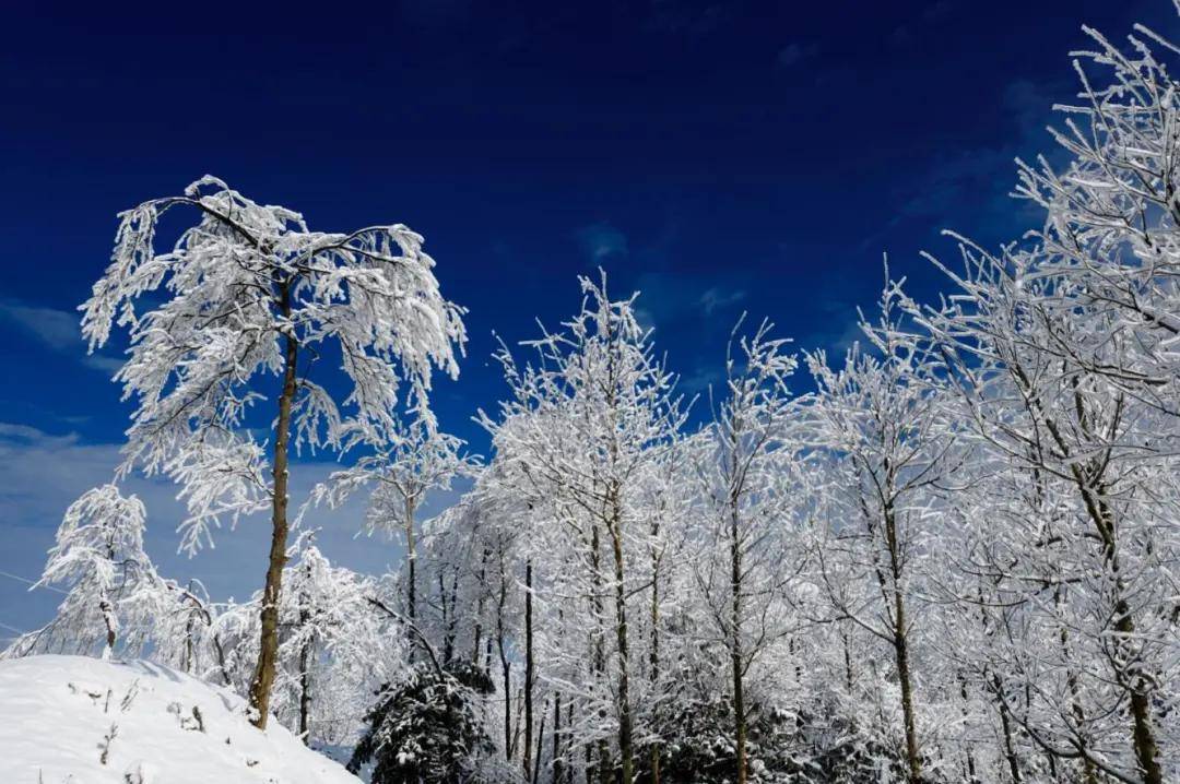 银装素裹分外妖娆凉山布拖雪景美如仙境