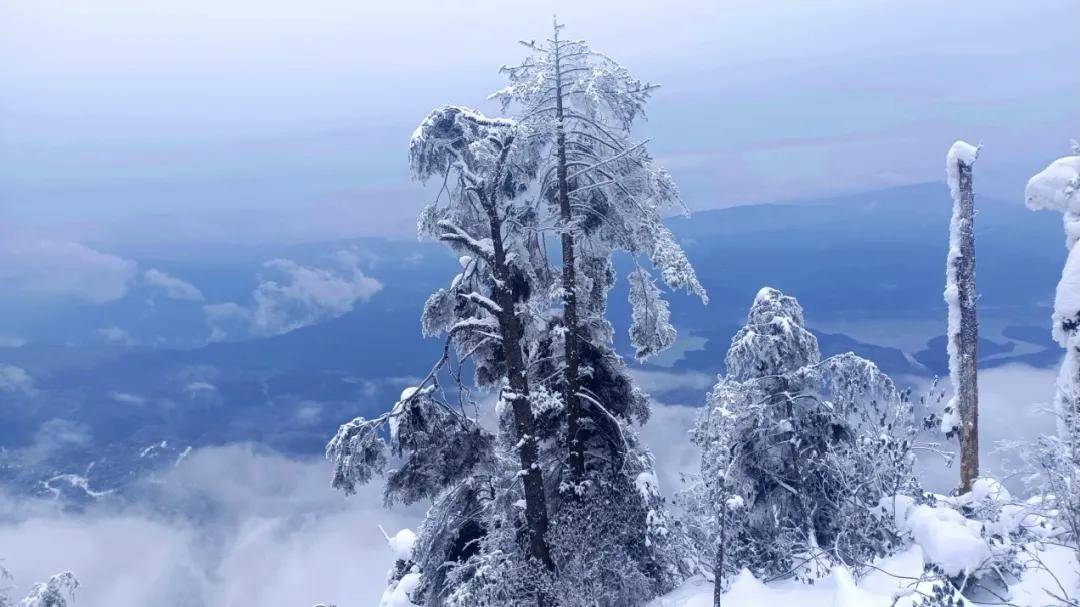 冬季瓦屋山的雾凇,雪凇美的一塌糊涂(1月20号当天古佛坪检修停运)