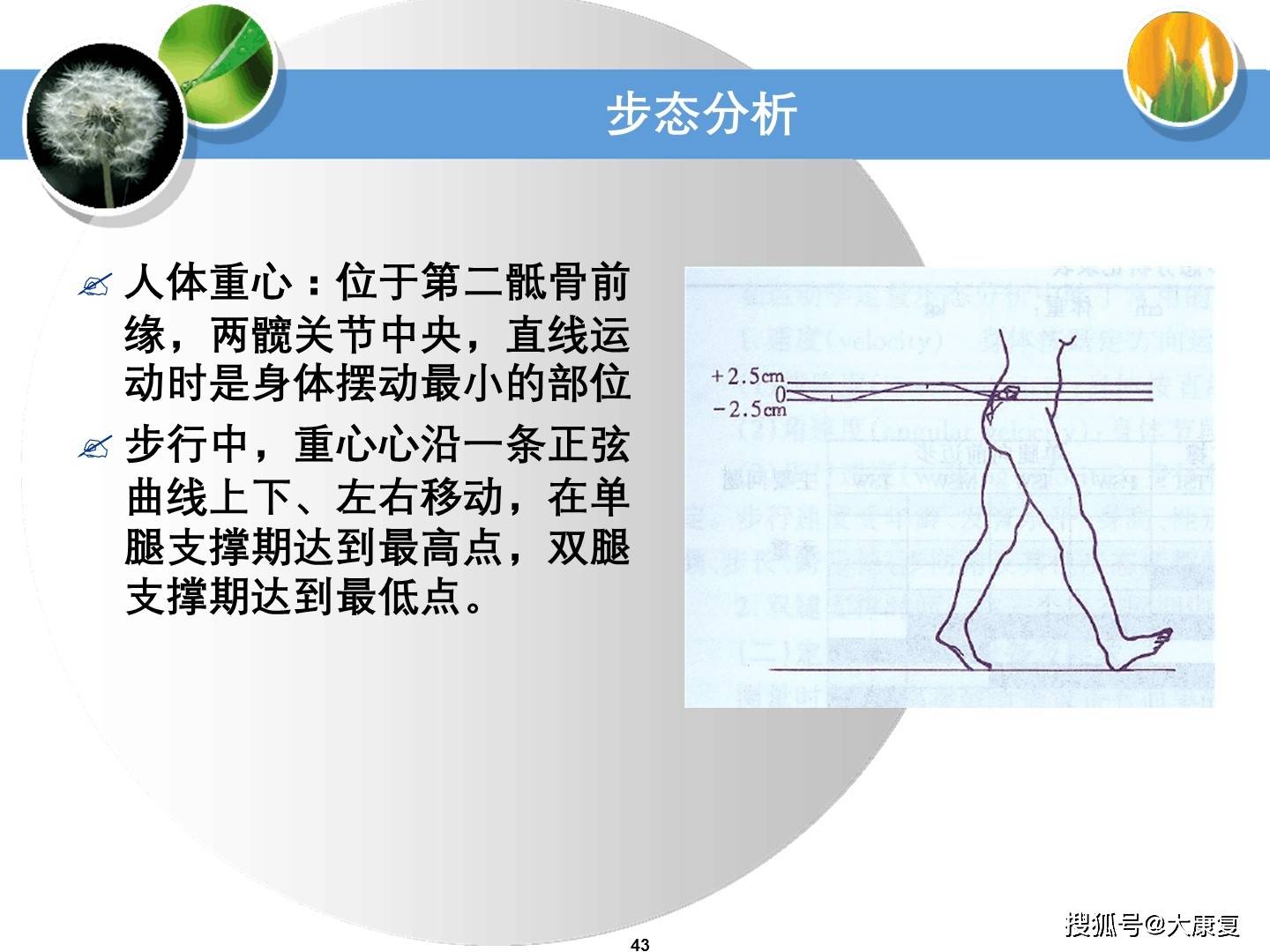 步态分析1