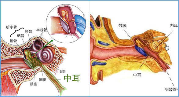 鼓膜穿孔是否会引起耳聋