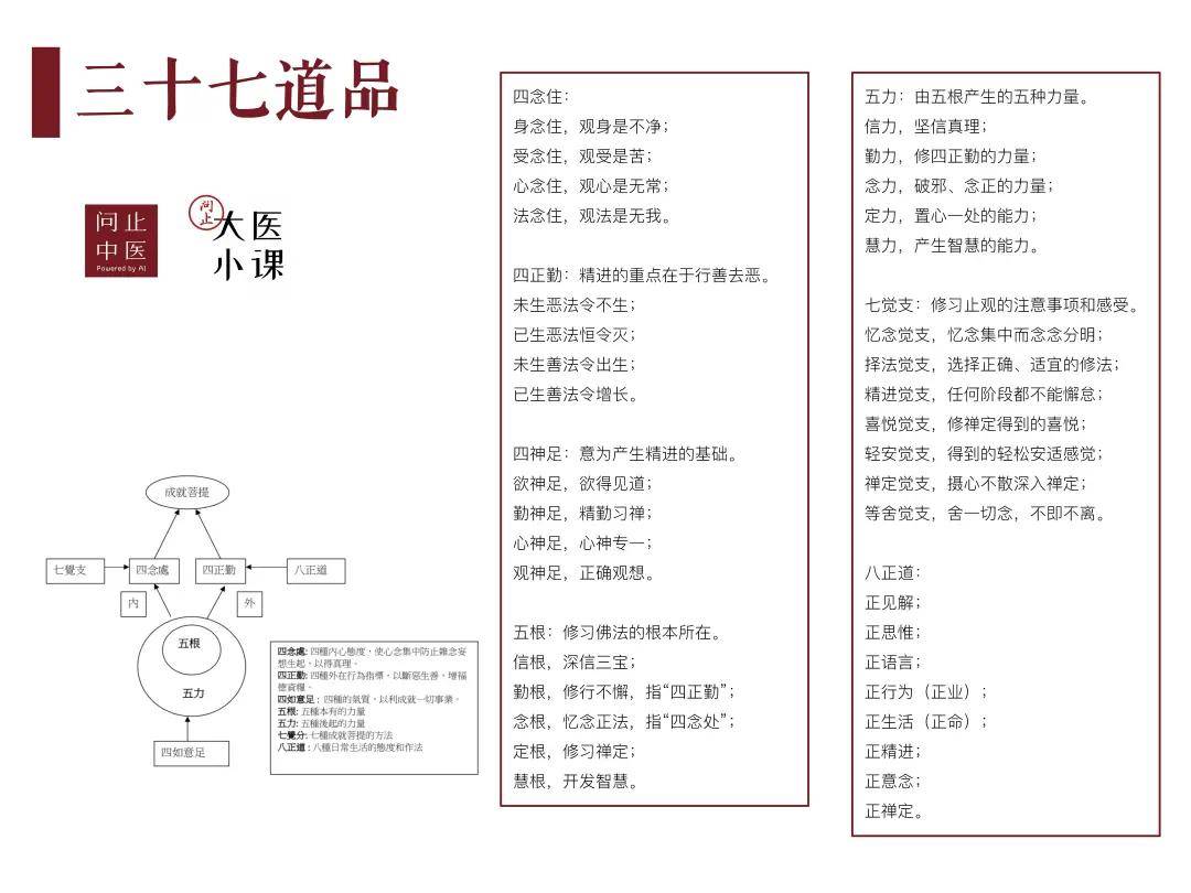 林大栋老师把《阿含经》的三十七道品,四念住,四正勤,四神足,五根