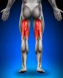 大腿不同部位疼痛的意义