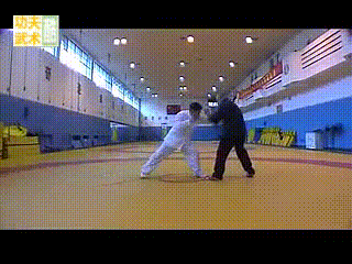 金水门散手(4),实战摔法反击招式,尽显传武摔打结合之