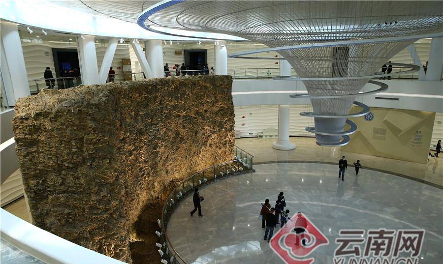云南澄江化石地自然博物馆成生物多样性科普基地