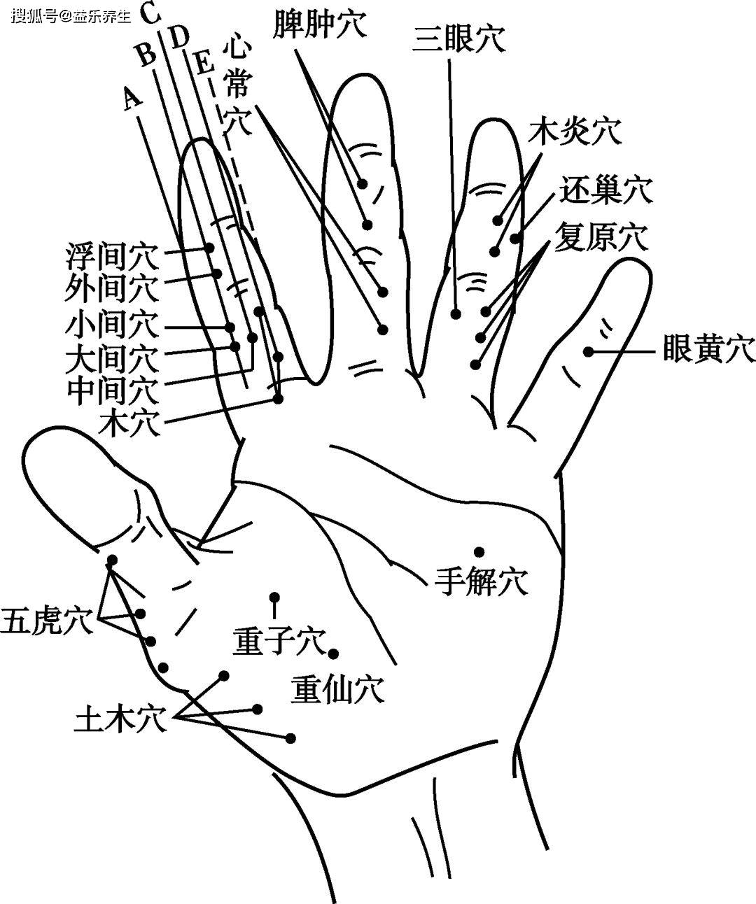 董氏奇穴手指部位寻穴规律