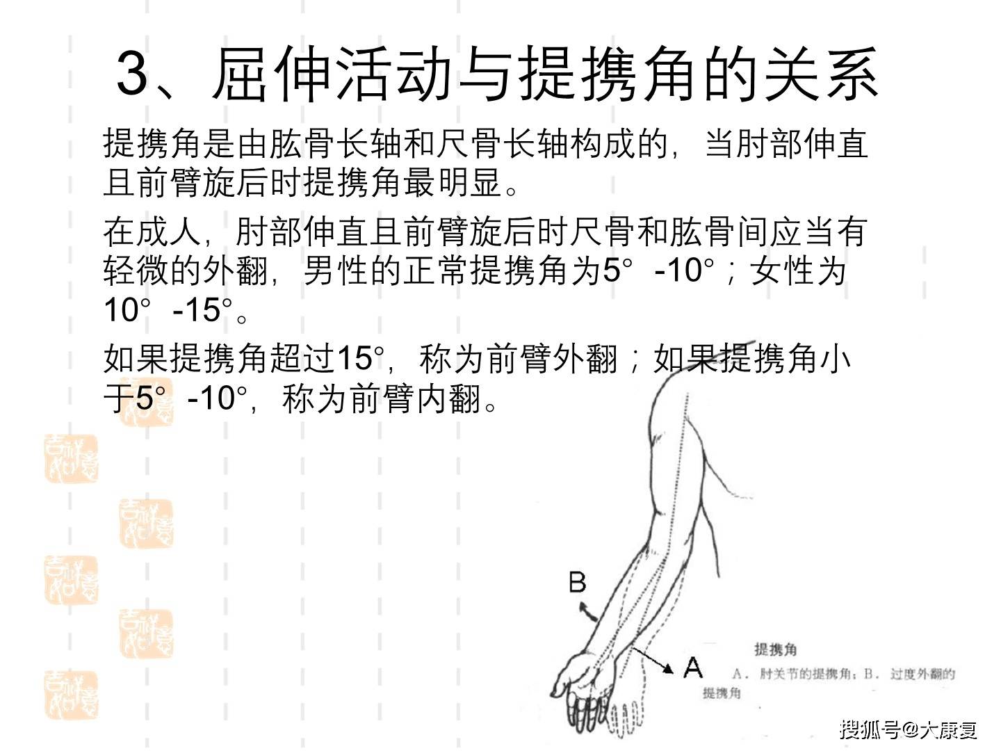 肘关节运动学