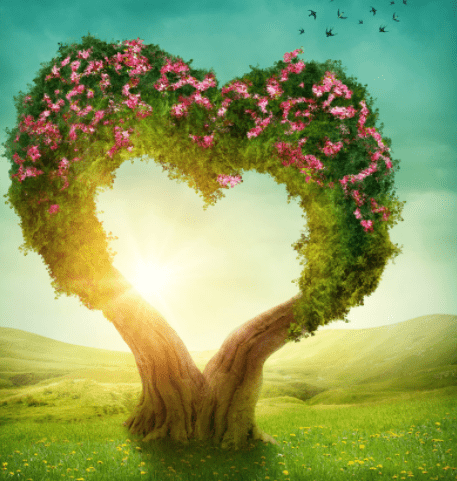 心理测试:哪一棵心形树代表你的心,测你是内在美还是外在美