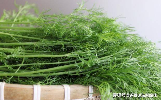 原创买茴香,选长的还是短的?菜农:教您一招,以后别乱买了