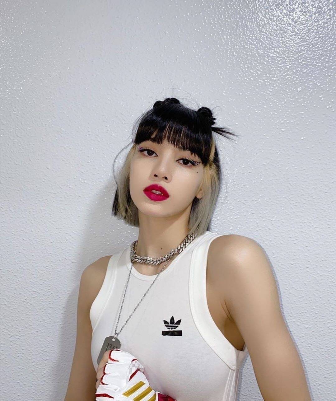 全球最美的女星前十名.