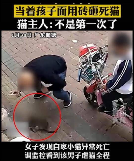 男子当着孩子的面用砖头拍死小猫监控记录残忍虐猫过程