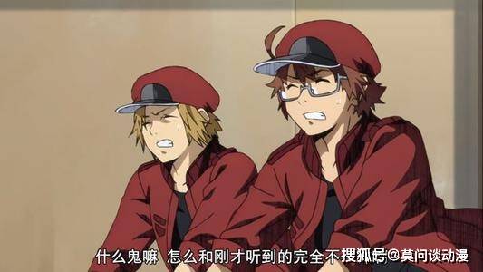 就小编自己来说这样的cp不是那么的喜欢,耽美感不够!