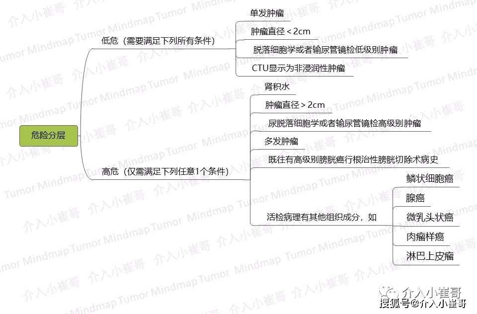 肿瘤思维导图20期 | 上尿路上皮癌csco 2020诊疗指南