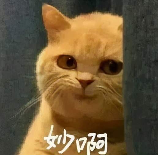 也会笑到 "喷饭"!