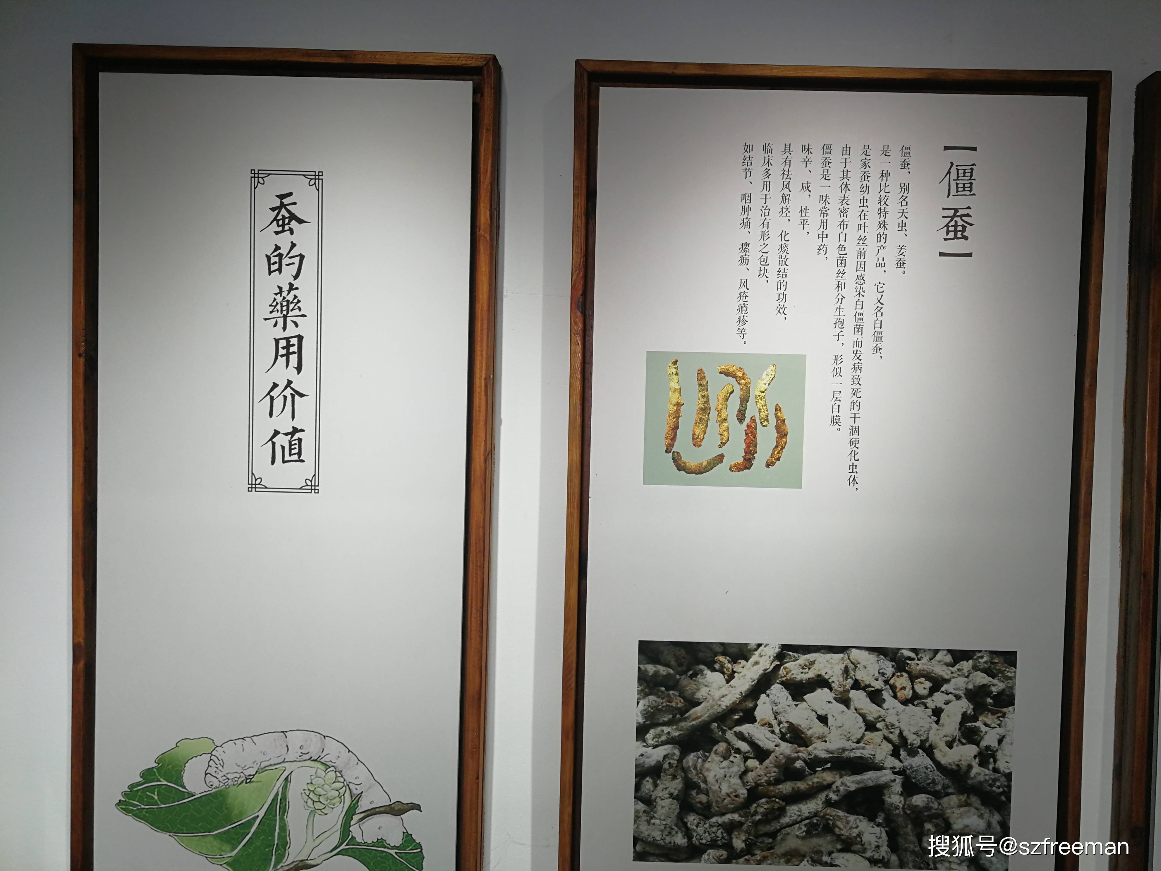 游丝绸博物馆回忆似曾相识的采桑养蚕