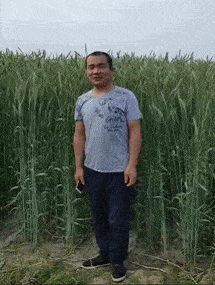 3,大哥,你暴露了你的身高,和麦子一样高