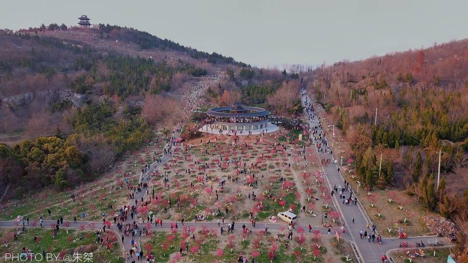 春节假期淮南最火的景点,不是寿县和八公山,而是昙花一现的梅园